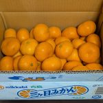 7296 エフ・シー・シー　優待品が届きました。